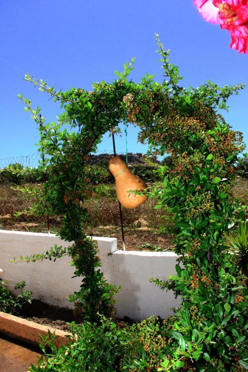 Αγάθη Στούντιος Διαμέρισμα Χαράκι Εξωτερικό φωτογραφία