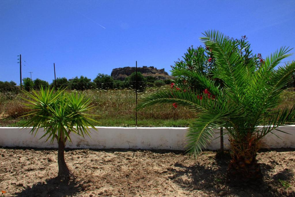 Αγάθη Στούντιος Διαμέρισμα Χαράκι Εξωτερικό φωτογραφία